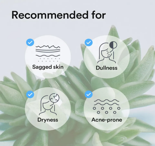 [Abib] Collagen Gel Mask - Sedum - Imagen 3